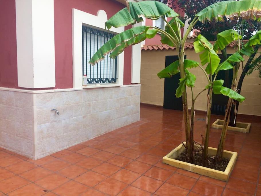 Casa Bignonia Villa Salteras Eksteriør billede